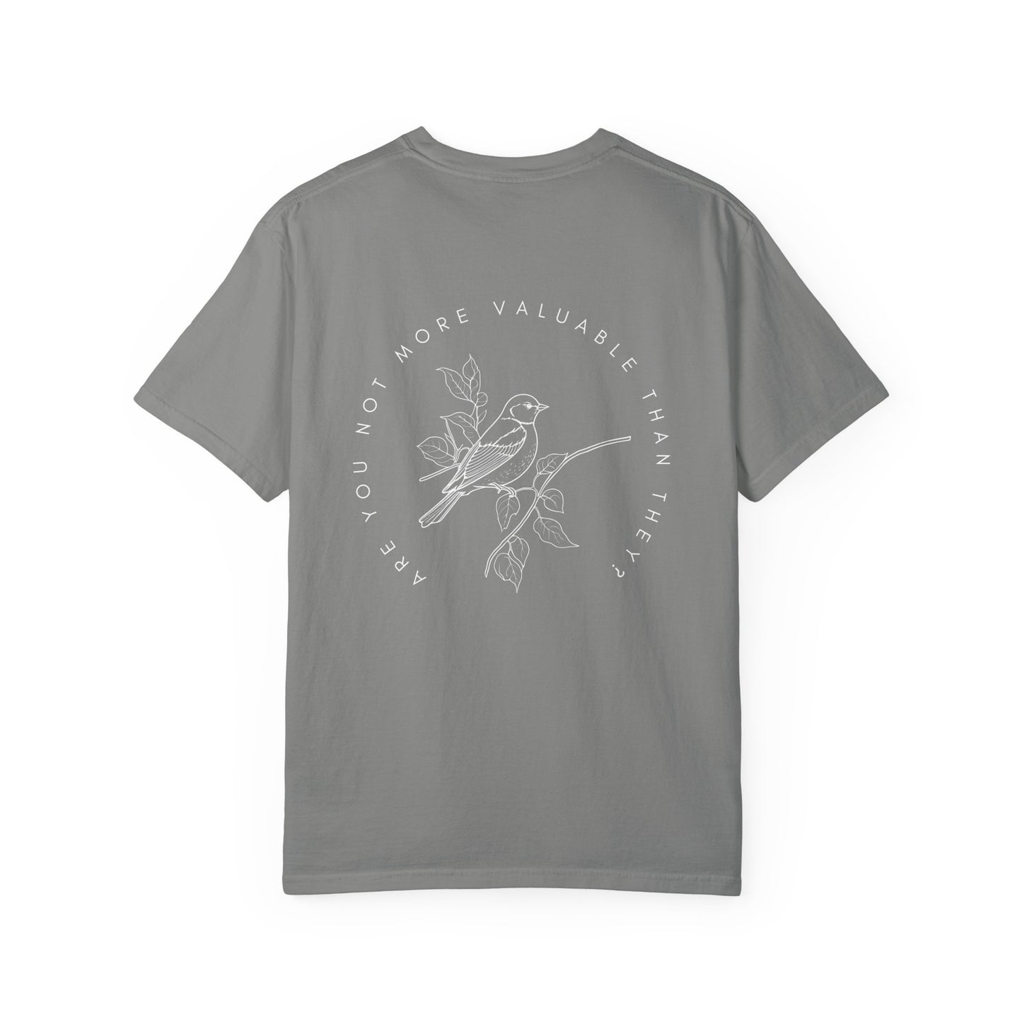 Are You Not More Valuable Than They? - Comfort Colors Tee