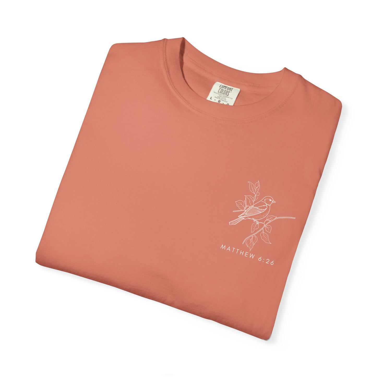 Are You Not More Valuable Than They? - Comfort Colors Tee
