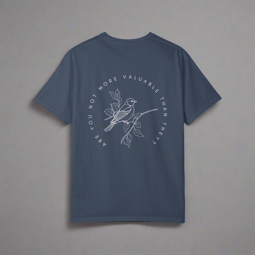 Are You Not More Valuable Than They? - Comfort Colors Tee