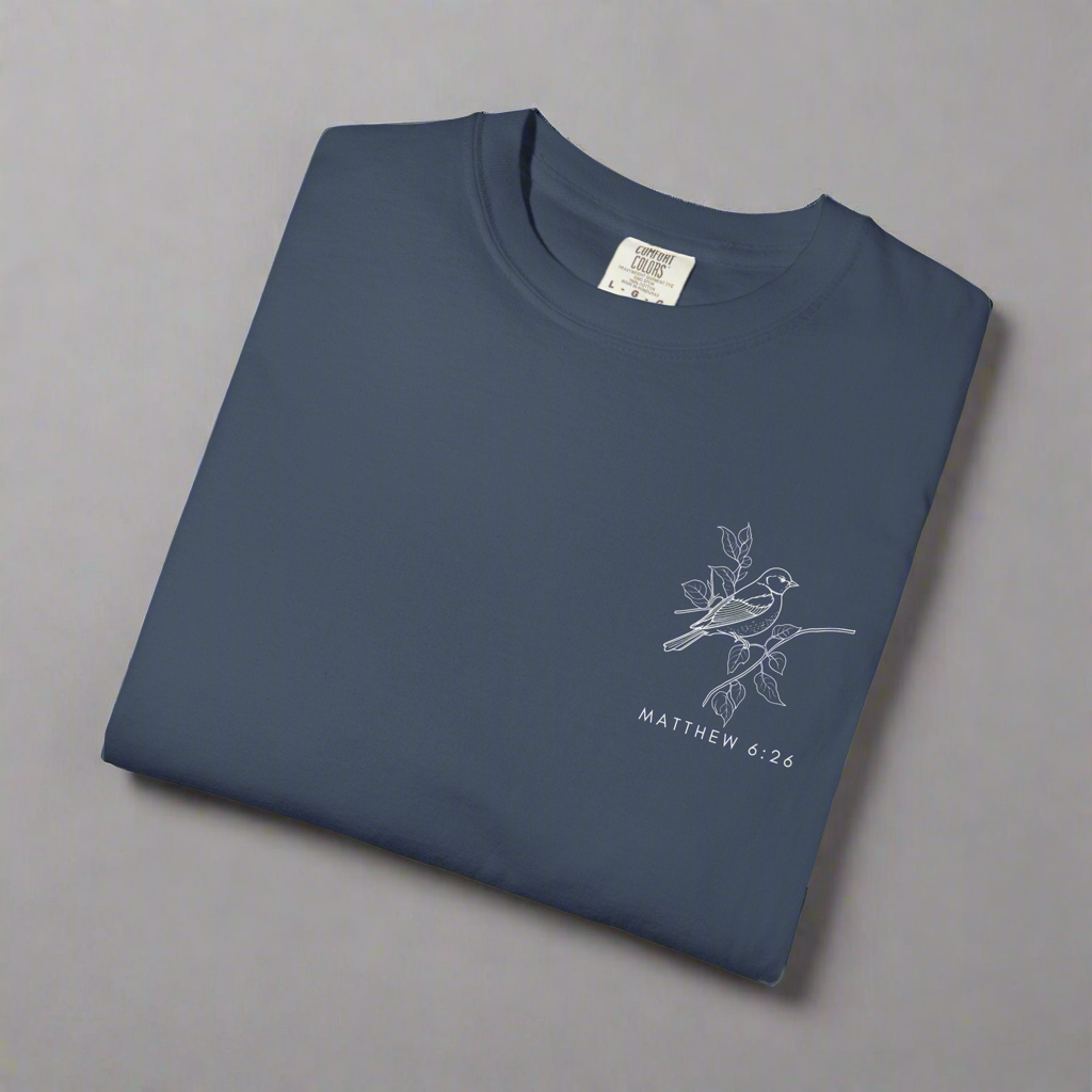 Are You Not More Valuable Than They? - Comfort Colors Tee