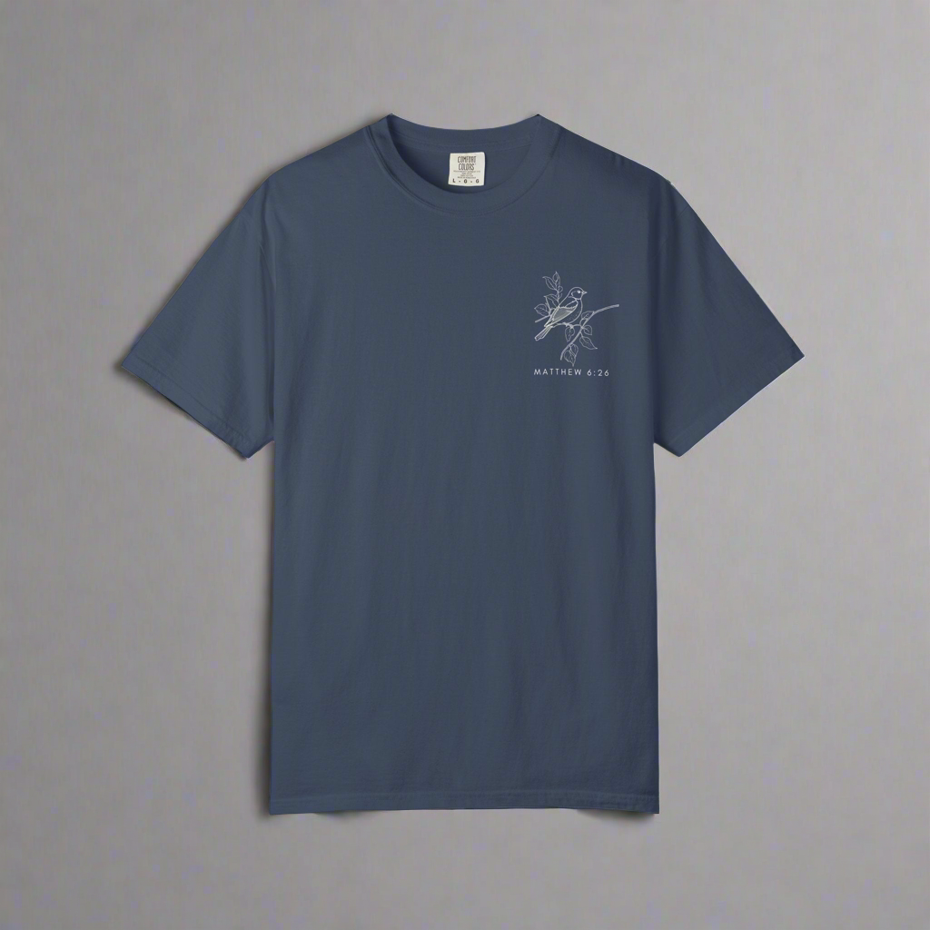 Are You Not More Valuable Than They? - Comfort Colors Tee