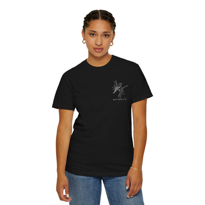 Are You Not More Valuable Than They? - Comfort Colors Tee